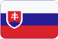 IRON GROUP Slovensky